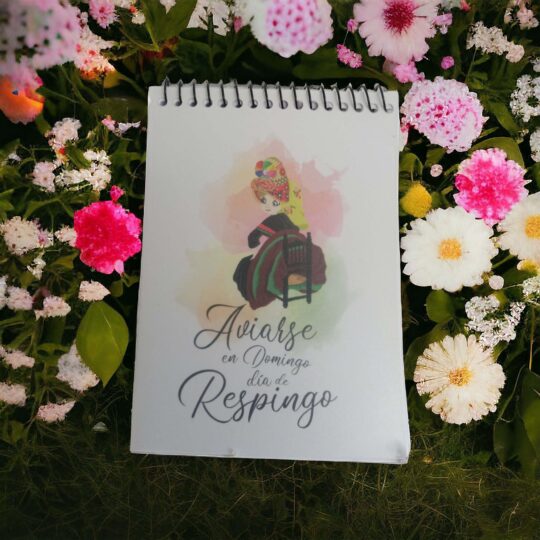 Libreta de anillas de bolsillo Aviarse en Domingo
